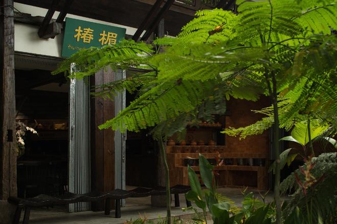 FUNS方糖空间设计顾问|椿楣粉档:属于版纳的热带松弛