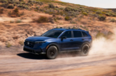 日系车企，集体震荡