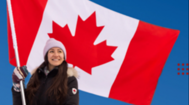 中国车企闯加拿大，为何拟纯电、混动、插混齐上阵？